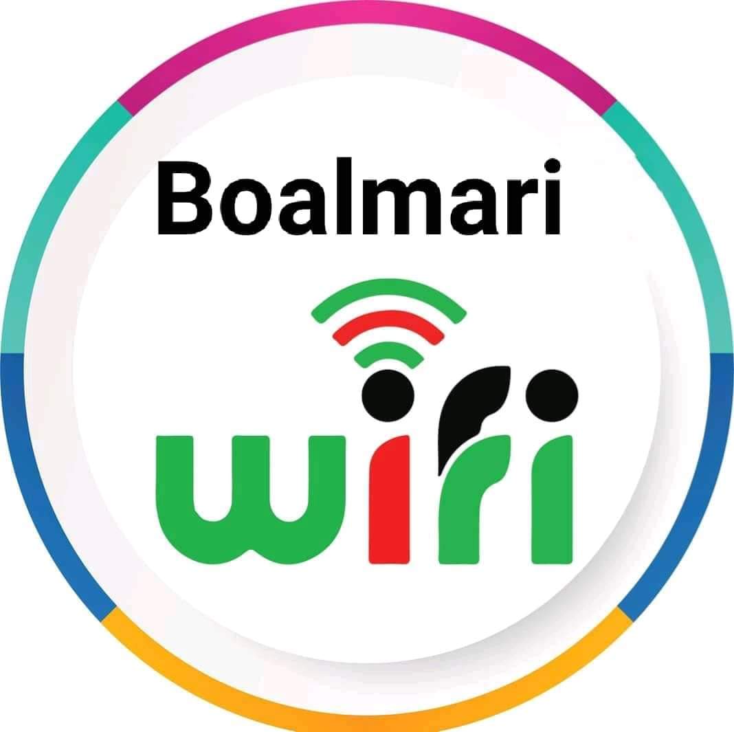 Boalmari Digital Wifi -logo